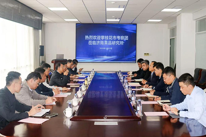 图片 3.jpg