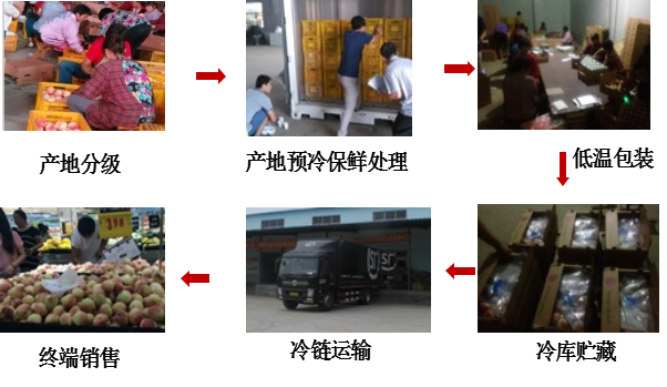 图片13.png
